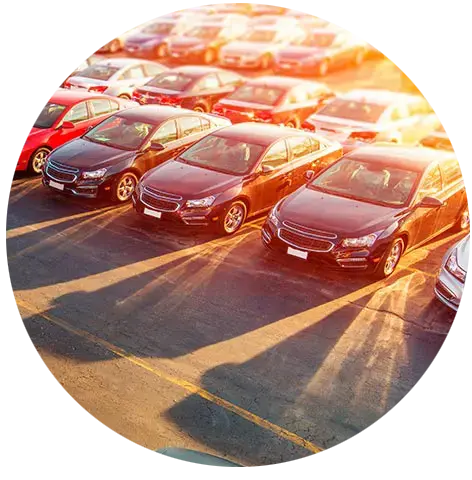 cars cars